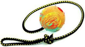 Dingo piłka aportowa na sznurku duża, sznurek 60 cm - 17298 1