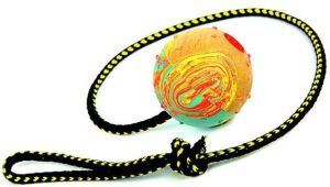 Dingo piłka aportowa na sznurku średnia z dzwonkiem, sznurek 60 cm - 17280 1