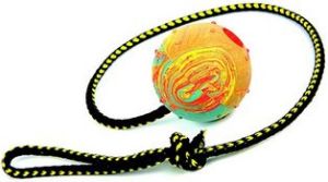Dingo piłka aportowa na sznurku mała, sznurek 60 cm - 17320 1