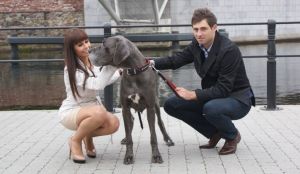 Dingo rączka "Exclusive" 20 mm x 35 cm, natural 2