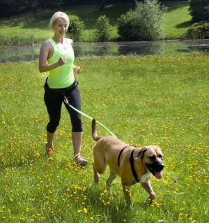 Dingo Pas do biegania 4 w 1 8