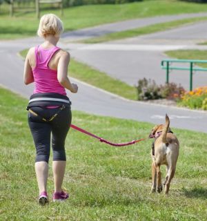 Dingo Pas do biegania 4 w 1 10