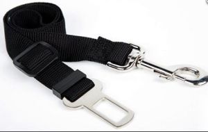 Dingo pas do montowania szelek bezpieczeństwa w samochodzie M max 70 cm - 16763 2