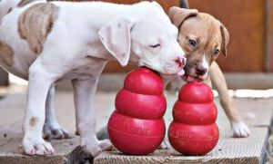 KONG Classic Small 7cm [jm.szt.] - T3E 3