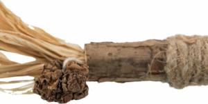 Trixie Patyk Z Matatabi Z frędzlami 24 Cm 4