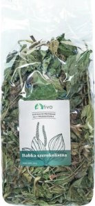Tivo TIVO BABKA SZEROKOLISTNA 100G 6006 1
