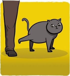 Rebel Eksplodujące Kotki: Frywolne Kotki (nowa edycja) 3