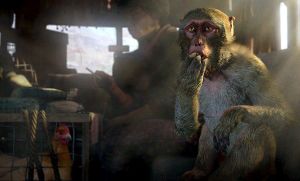 Far Cry 4 + Far Cry Primal PS4 9