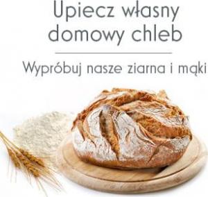 Sunme Anyżek - gwiazdka 1 KG 5