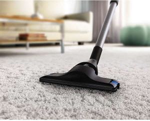 Odkurzacz Philips Performer Ultimate  FC8955/09 10