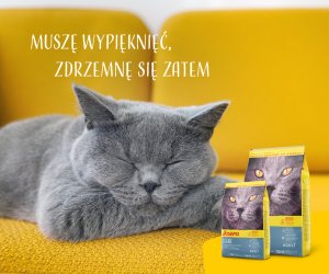 Josera Léger Adult Light CAT 2kg 8