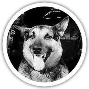 Cobi T34 Czterej Pancerni i Pies (COBI-2485) 7