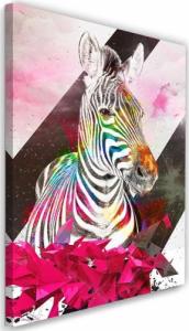 Feeby OBRAZ NA PŁÓTNIE Zebra Abstrakcja Kolorowy 40x60 1