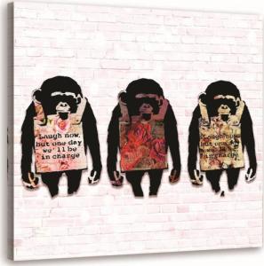 Feeby OBRAZ NA PŁÓTNIE Banksy Małpy Kolorowy 30x30 1