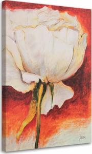 Feeby OBRAZ NA PŁÓTNIE Piwonia Kwiat Malowany 80x120 1