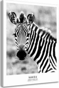 Feeby OBRAZ NA PŁÓTNIE Zebra Zwierzęta Natura 60x90 1