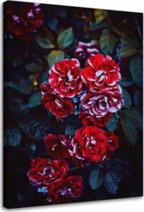 Feeby OBRAZ NA PŁÓTNIE Kwiaty Czerwone Natura 40x60 1
