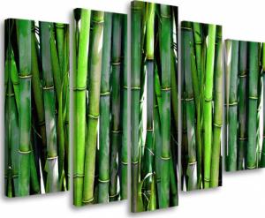 Feeby OBRAZ TRYPTYK Bambus Las Natura Zielony 200x100 1