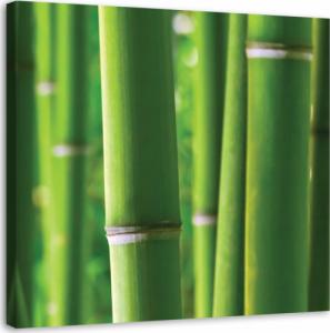 Feeby OBRAZ NA PŁÓTNIE Bambus Zen Natura 30x30 1