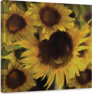 Feeby OBRAZ NA PŁÓTNIE Słoneczniki Kwiaty Żólty 50x50 1