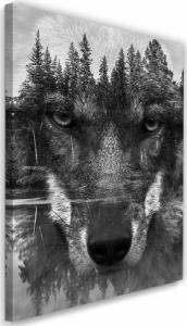 Feeby OBRAZ NA PŁÓTNIE Wilk Las Zwierzęta Natura 70x100 1