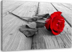 Feeby OBRAZ NA PŁÓTNIE Czerwona Róża na Deskach 60x40 1