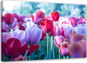 Feeby OBRAZ NA PŁÓTNIE Tulipany Czerwone Kwiaty 120x80 1