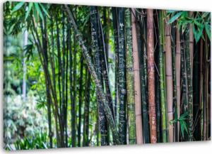Feeby OBRAZ NA PŁÓTNIE Las Bambusowy Zielony 60x40 1