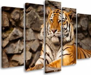 Feeby OBRAZ TRYPTYK Afryka Tygrys Zwierzęta 100x70 1