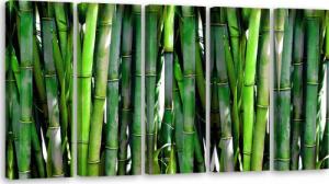 Feeby OBRAZ TRYPTYK Bambus Las Natura Zielony 100x40 1