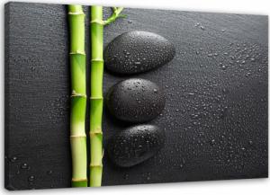 Feeby OBRAZ NA PŁÓTNIE Bambus Zen Kamienie Czarny 60x40 1