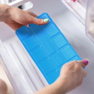 Vilde Wkład chłodzący do lodówki turystycznej, 2 szt. 2x400g 4