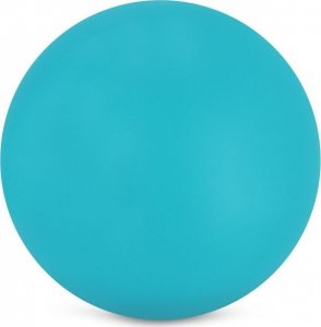 Spokey Siatka do nauki nurkowania 3