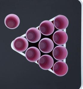 vidaXL Zestaw do Beer Ponga stołowego, 0,5 L, plastik 7