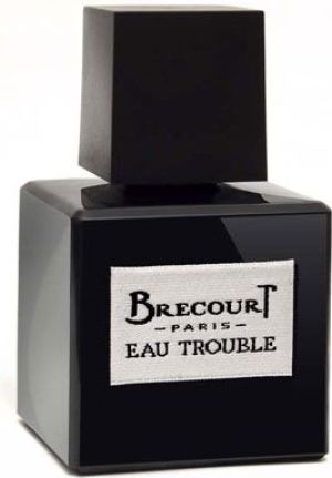 Brecourt Eau Trouble EDP 100ml 1