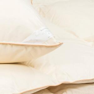 AMZ Poduszka 40 x 60 Natural* Classic Pierze Krem 3