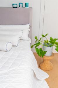 AMZ Poduszka Anatomiczna Bawełna z Wałkiem 50 x 60 2