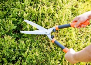 Galicja Nożyce do żywopłotu ogrodowe ręczne 54 cm 6