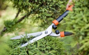 Galicja Nożyce do żywopłotu ogrodowe ręczne 54 cm 7