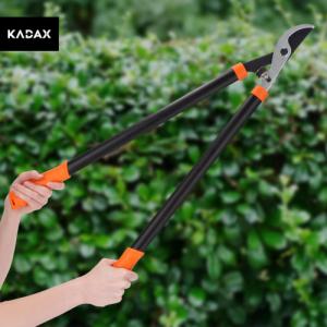 Sekator Galicja kowadełkowy 2