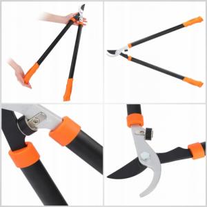 Sekator Galicja kowadełkowy 5