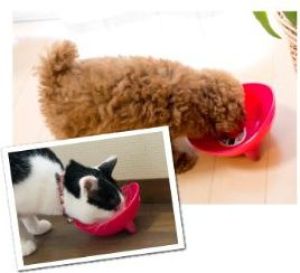 Wetnoz Miska Wetnoz Studio Scoop - 1200ml Biała 3