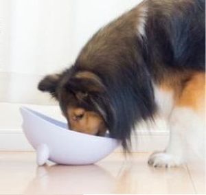 Wetnoz Miska Wetnoz Studio Scoop - 1200ml Biała 4