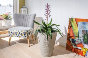 Form-Plastic FLOWER POT DIAMOND 2920 D40 014 5