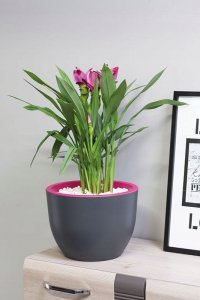 Form Plastic FLOWER POT MUNA D30 3300-011+059 3