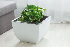 Form Plastic FLOWER POT MUNA D30 3300-011+059 8