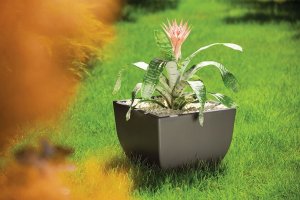 Form Plastic FLOWER POT MUNA D30 3300-011+059 9