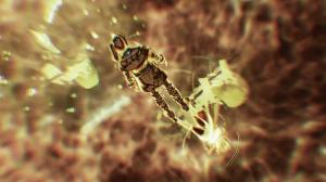 Xenoblade Chronicles 3 Nintendo Switch 6