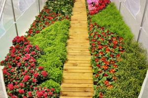 Home & Garden Szklarnia 450 cm x 300 cm x 200 cm (HG71812) 5