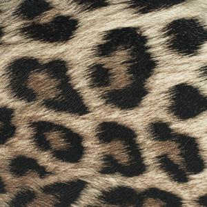 Art of Polo Nerka Jungle drums NoSize 10